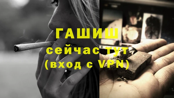 крисы Новокубанск