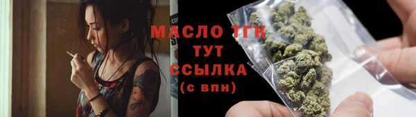 шишки Новодвинск