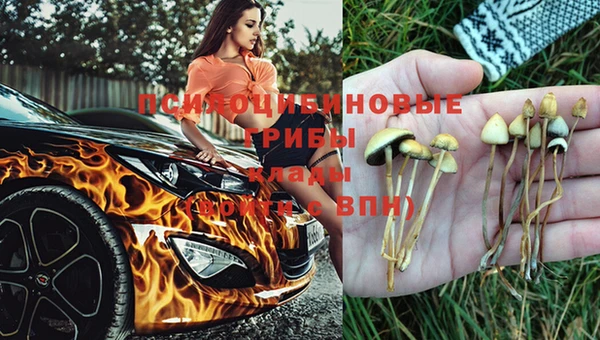 стаф Абдулино