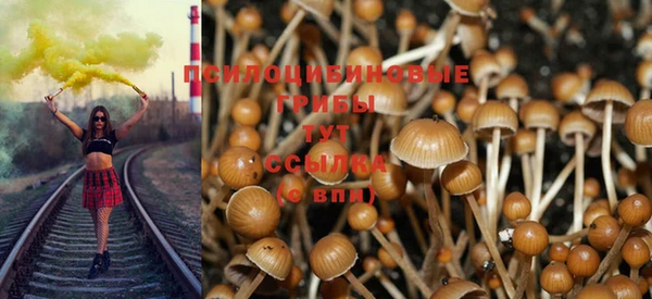стаф Абдулино