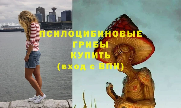 шишки Новодвинск