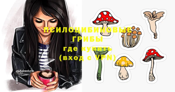 стаф Абдулино