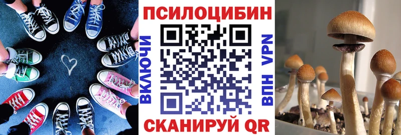Псилоцибиновые грибы Psilocybine cubensis  Тольятти 